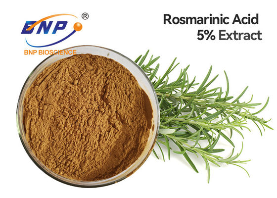 Ekstrak Rosemary GMP Berkualitas Tinggi dengan 5% Asam Carnosic Dan Carnosol