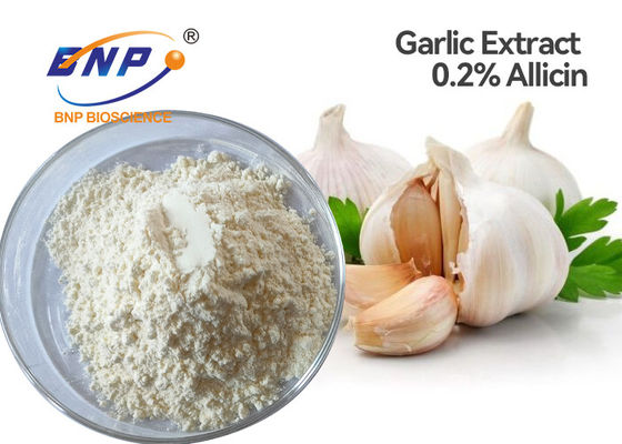0.2% Allicin Garlic Extract Powder Produk Kesehatan Food Grade