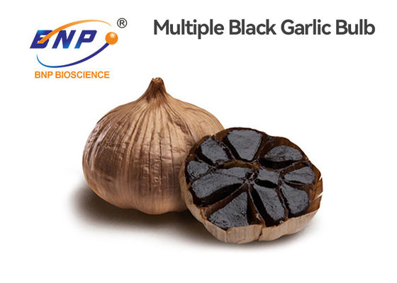 Allium Sativum Black Garlic Seed Multiple Bulb Difermentasi Secara Alami