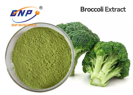 Bubuk Kecambah Brokoli Organik Hijau Muda Food Grade 80 Mesh