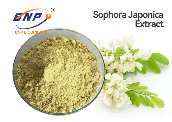 Bubuk Ekstrak Sophora Japonica Kuning Food Grade Quercetin Dihydrate Powder