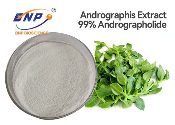 99% Suplemen Antibakteri Alami Andrographolide Andrographis Paniculata Burm F Nees