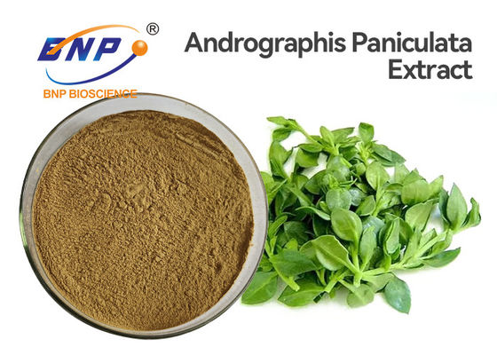 Antivirus Andrographis Paniculata Ekstrak Bubuk 50% Andrographolide HPLC