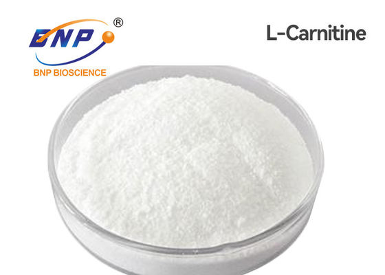 Suplemen Nutraceuticals USP Bubuk Levocarnitine L Carnitine