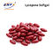 Kontrak Farmasi Lycopene Softgel Lycopene Multivitamin Multimineral Softgel