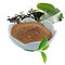 Ekstrak Teh Hijau Teh Polifenol 20% -98% Coklat, bubuk putih