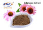 Ekstrak Echinacea Purpurea Polyphenol 4% Food Grade