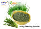 Suplemen Bubuk Sayuran Buah Hijau Triticum Aestivum Barley Grass Juice Powder