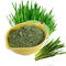 Suplemen Bubuk Sayuran Buah Hijau Triticum Aestivum Barley Grass Juice Powder