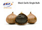 Fermentasi Single Bulb Garlic B1000 S-Allyl-Cysteine ​​Sweet Soft Taste