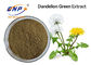 Ekstrak Dandelion, flavonoid 2% -5%, 10: 1 Bubuk Kuning Coklat