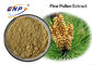 GMP Anti-Aging Pine Pollen Extract Bubuk Kuning Muda