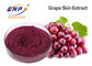 Bubuk Ekstrak Biji Anggur Merah Vitis Vinifera HPLC Resveratrol 5%