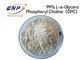 CAS No. 28319-77-9 Bubuk Alpha Gpc 99% L Alpha Glycerylphosphorylcholine