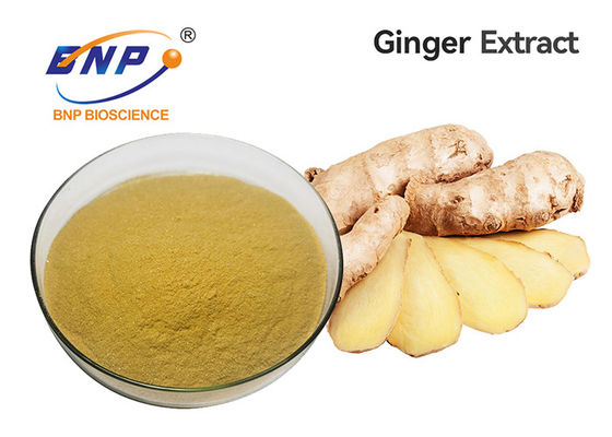 Ekstrak Akar Jahe Gingerol 5% -10% Food Grade