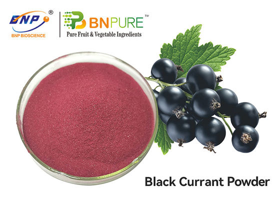 Bubuk Jus Blackcurrant Ungu Merah Food Grade Ribes Nigrum Fruit Extract