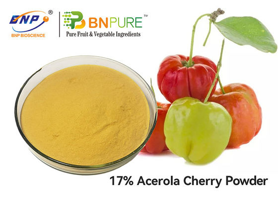 Kualitas Tinggi Anti-penuaan 17% Vitamin C Acerola Cherry Extract Powder