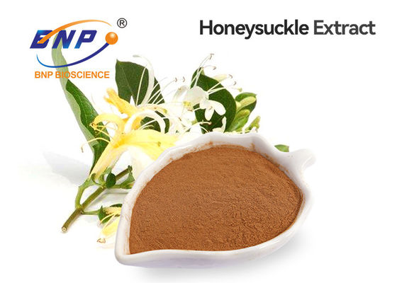 Ekstrak Bunga Honeysuckle GMP Asam Klorogenat 5% -98%