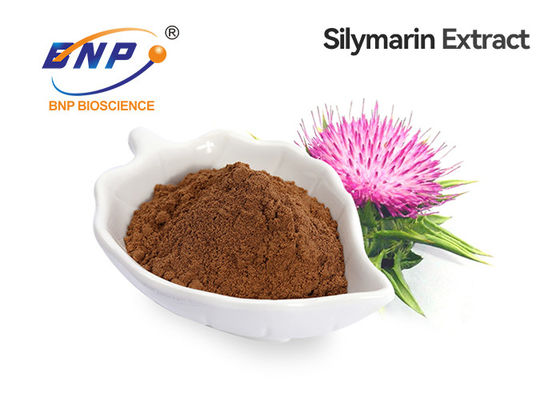 Silybin 99% Milk Thistle Seed Extract Perlindungan Hati