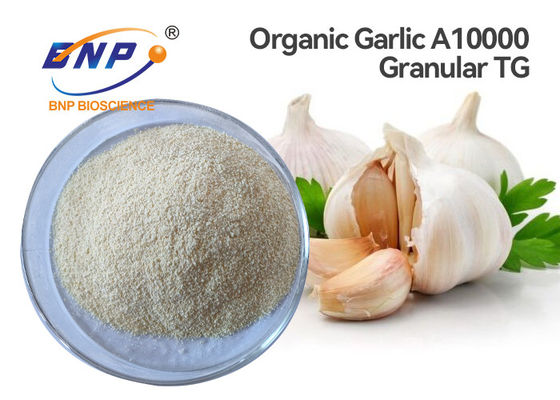 1% Ekstrak Bawang Putih Organik Allicin A10000 Granular Allium Sativum L.