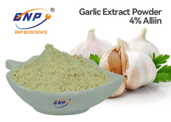 GMP Bubuk Ekstrak Bawang Putih Tidak Berbau 4% Allicin BNP Brand