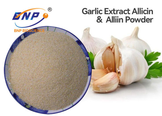 Antibiotik Food Grade Allium Sativum Extract Bubuk Putih Merek BNP