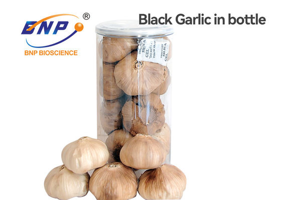 OEM Multiple Clove Black Garlic Bulb Rasa Manis Dalam Botol 500g