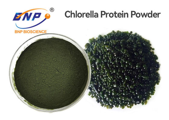 Ekstrak Tumbuhan Alami Food Grade GMP Chlorella Vulgaris Powder
