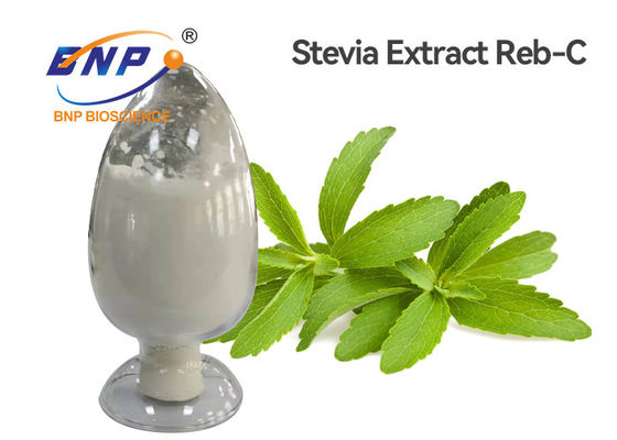 Kelarutan Yang Baik Ekstrak Stevia Daun Manis RB 95% HPLC Stevia Rebaudiana Powder