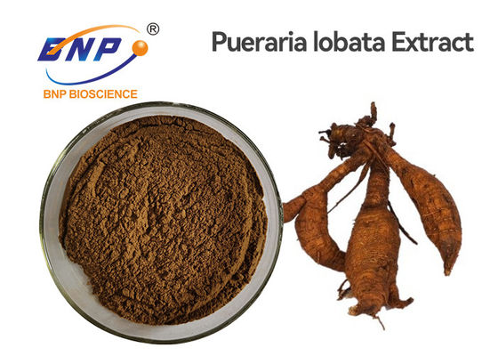 Ekstrak Tumbuhan Alami Akar Kudzu Isoflavon 40% Coklat Kuning Pueraria Lobata Powder