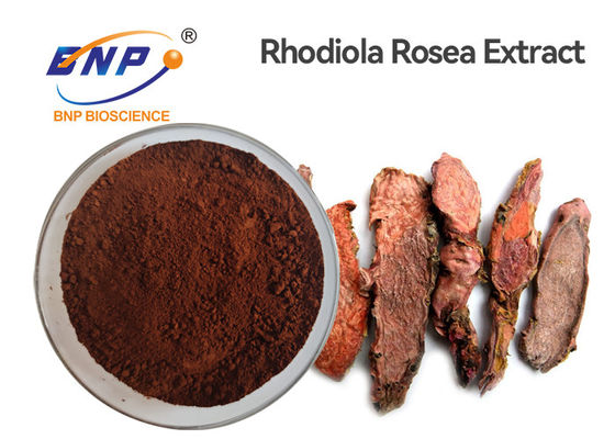 Anti-Aging Rhodiola Rosea Root Powder Ekstrak Rhodiola Crenulata 3%