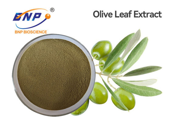 Ekstrak Tumbuhan Alami Coklat Kuning HPLC Oleuropein 60% Bubuk Ekstrak Daun Zaitun