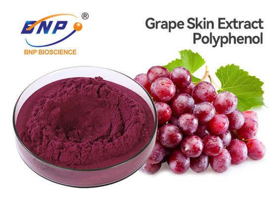 20% Ekstrak Kulit Anggur Merah Polifenol Vitis Vinifera Sambucus Nigra L.