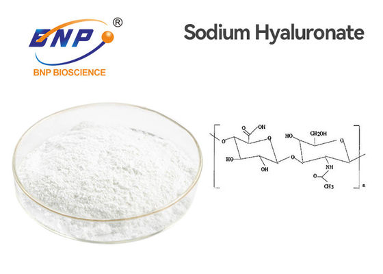 CAS 9004-61-9 Bubuk Asam Hyaluronic 95% Sodium Hyaluronate