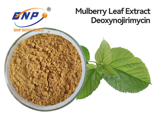 Suplemen Kesehatan Ekstrak Daun Mulberry 5% DNJ Alami Deoxynojirimycin