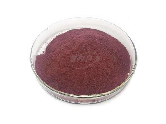 Elderberry Powder Juice Powder 20% Ekstrak Tumbuhan Polisakarida