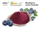 Suplemen Bubuk Sayuran Buah Food Grade Bubuk Jus Blueberry