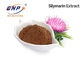 30% Silybin 80% Silymarin Silymarin Extract Powder Ekstrak Milk Thistle GMP Untuk Hati