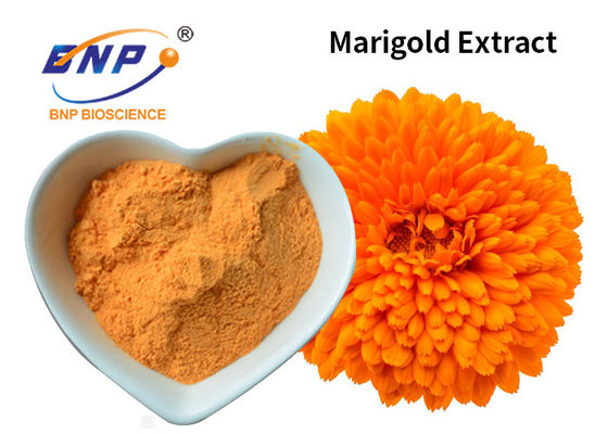 Ekstrak Marigold Bubuk Kuning 10% ~ 80% Lutein Pewarna Aditif Makanan Tagetes Erecta L.