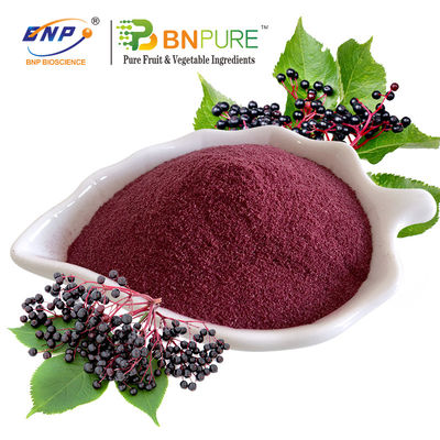 Elderberry Powder Juice Powder 20% Ekstrak Tumbuhan Polisakarida