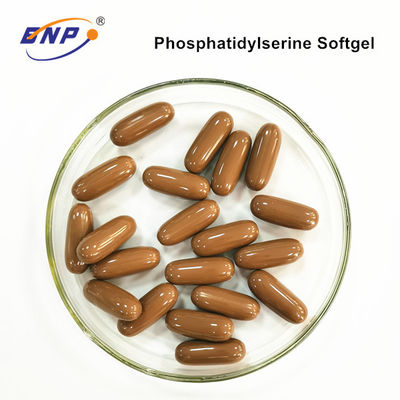 Suplemen PS Phosphatidylserine Coklat 750mg Kapsul Softgel